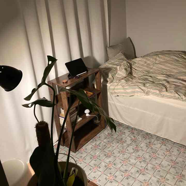 ホワイトカーテンを背景に、ブラウンの棚とベッド、ヴィンテージラグ、植物が配置された自然な雰囲気のワンルーム寝室