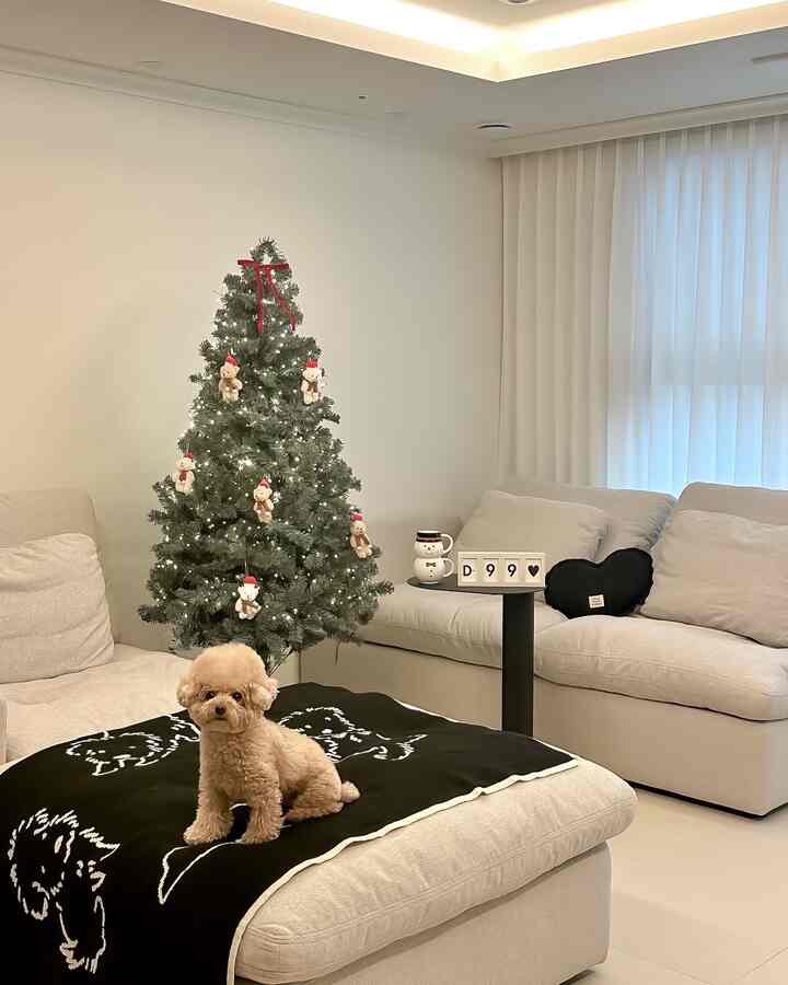 White and black toned living room featuring Christmas tree, beige sofas, and a dog sitting on a black throw blanket creating a cozy atmosphere