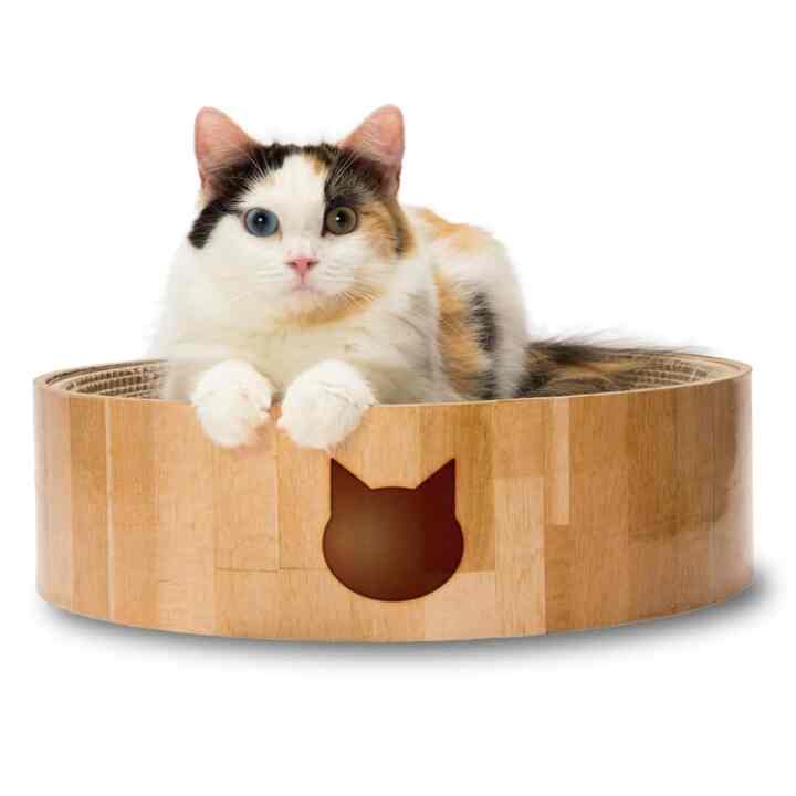 バリバリボウル ライトブラウン