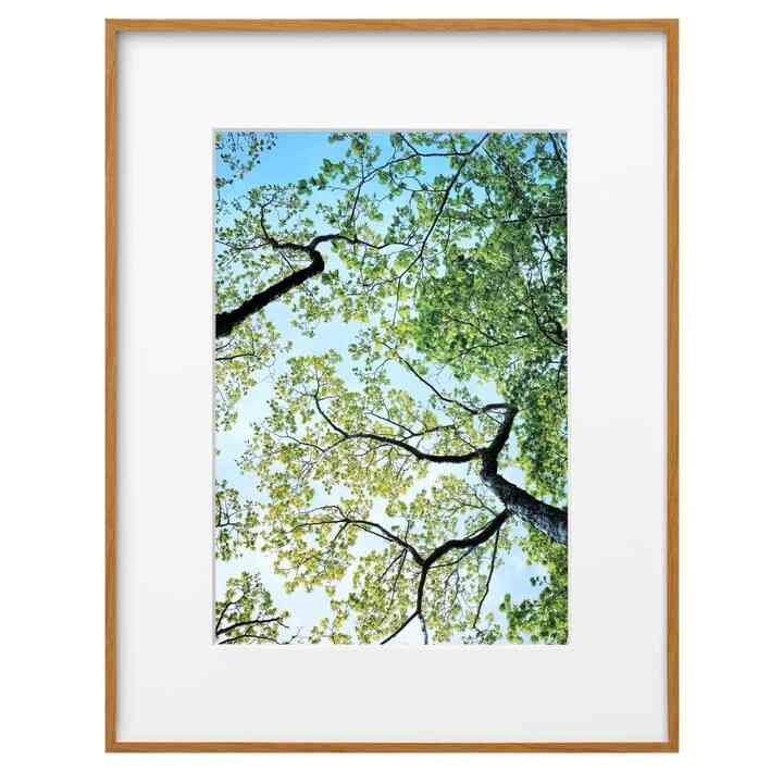 ZEROフレーム G-01 A4 ナチュラル