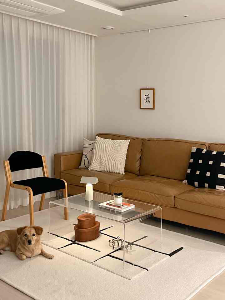 明るい白色のリビング、木目調のレザーソファと透明なコーヒーテーブル、クリーム色のラグの上でくつろぐ犬がいるナチュラルなインテリア