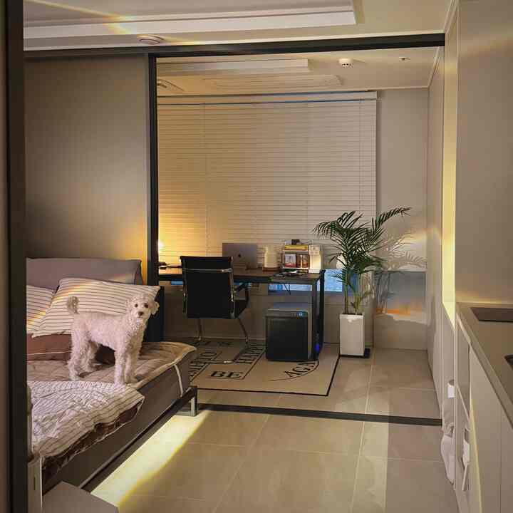 白と茶色のトーンのワンルーム、ソファベッドとデスクが配置された落ち着いたモダンな空間