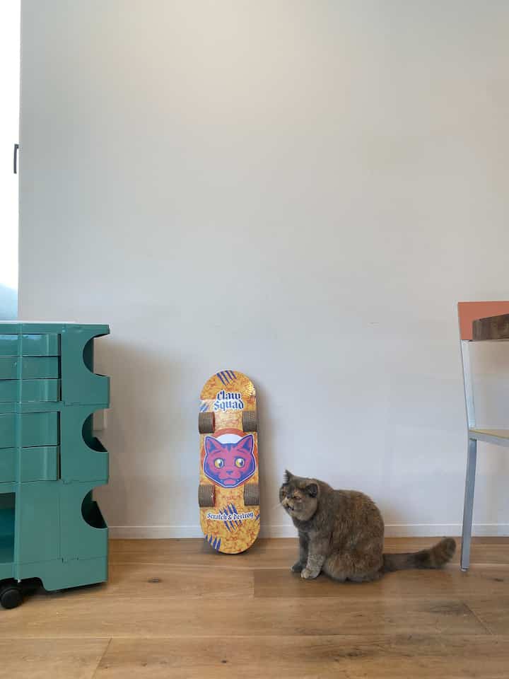 Have fun with the accent colors.

The cat also enjoys using the skateboard-shaped scratcher.

#Storage box #ボビーワゴン #ダイニングインテリア #ダイニングチェア #猫インテリア #猫と家