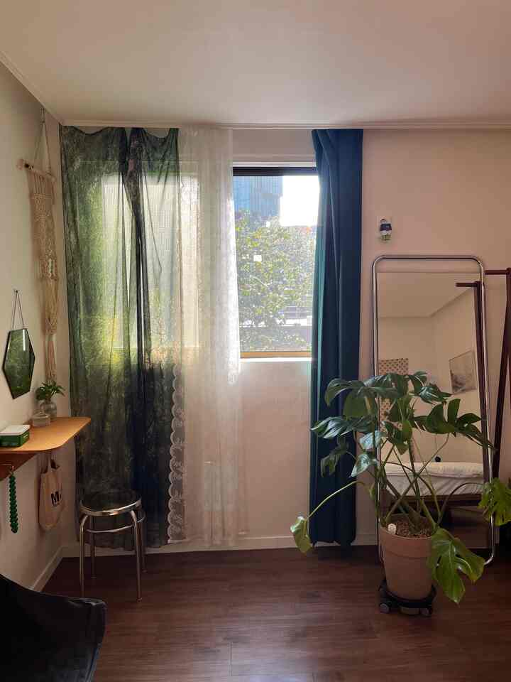 緑のアクセントカーテンと木目調の床が映える、植物と共に整った大きな部屋のインテリア