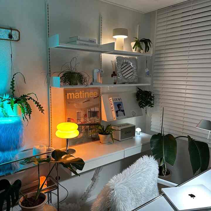  #플랜테리어 #플랜트 #plantinspiration #homeliving #서재꾸미기