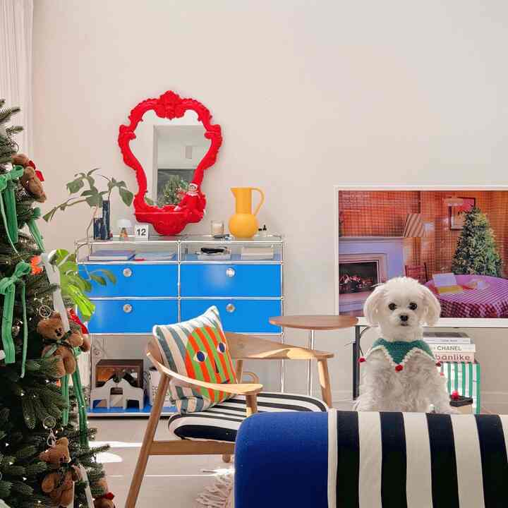A vibrant blue and red toned living room with modular furniture, a red ornate mirror, and a dog creating a warm atmosphere