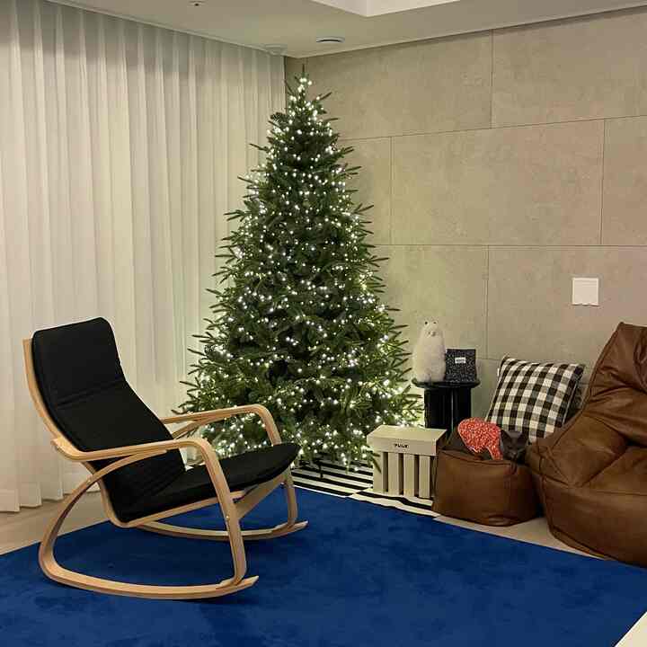 ブルーのラグが敷かれたリビング、クリスマスツリーとビーズクッション、猫がいる温かみのある空間