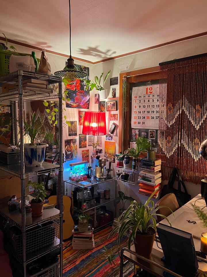 ブラウンのモールディングと赤い照明、多様な植物が配置された小さなレトロスタイルの部屋