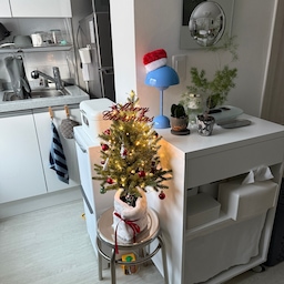 미니 트리로 크리스마스 분위기 내기! 🎄
#아무트리챌린지 #나도있다크리스마스템 
#크리스마스 #트리 #트리꾸미기 #트리장식 
#크리스마스장식 #크리스마스데코 #트리오너먼트
#xmas #자취방꾸미기 #크리스마스소품 #집꾸미기
#내돈내산 #내방꾸미기 #tree 