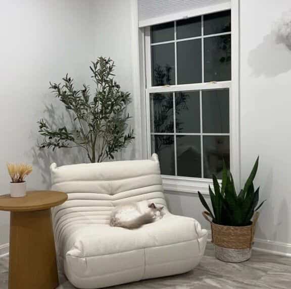 My lounge chair has officially been claimed by the cutest snoozer! 🐾❤️ Looks like it's now the ultimate cat bed! #CatLife #CozyVibes #FurryFriend #LoungeChair #ScandinavianDesign #MinimalistDecor