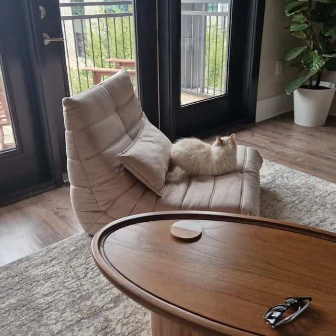 Enjoying a relaxing weekend morning with my little furball! 🐾☀️ Nothing beats cuddles and cozy vibes to start the day. #WeekendVibes #KittenLove #CozyMoments #Togodupes #Togo #LoungeChair #MidCenturyModern #WoodTable