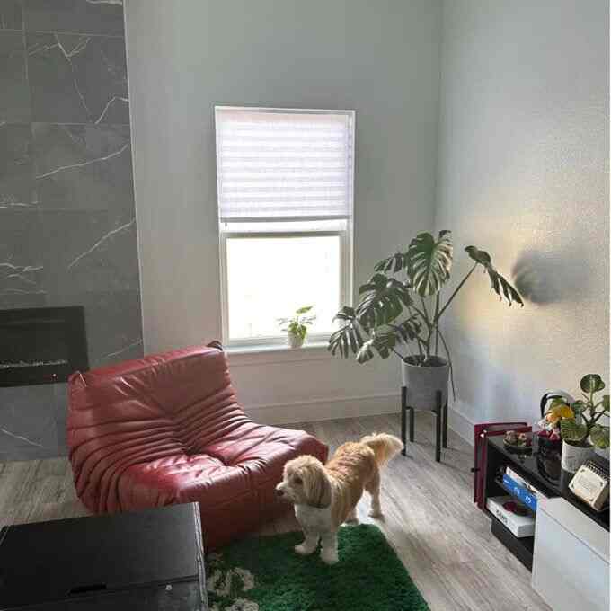 Modern cozy living room featuring a red leather bean bag chair and multiple plants with natural wood flooring