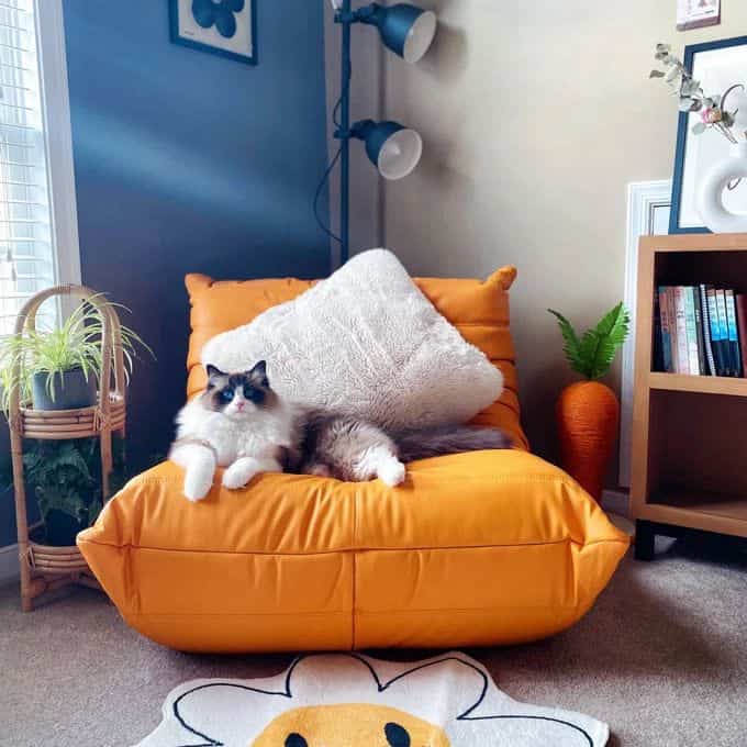 Tagged posts featuring Microfiber Leather Standard Bean Bag Chair and Lounger 2