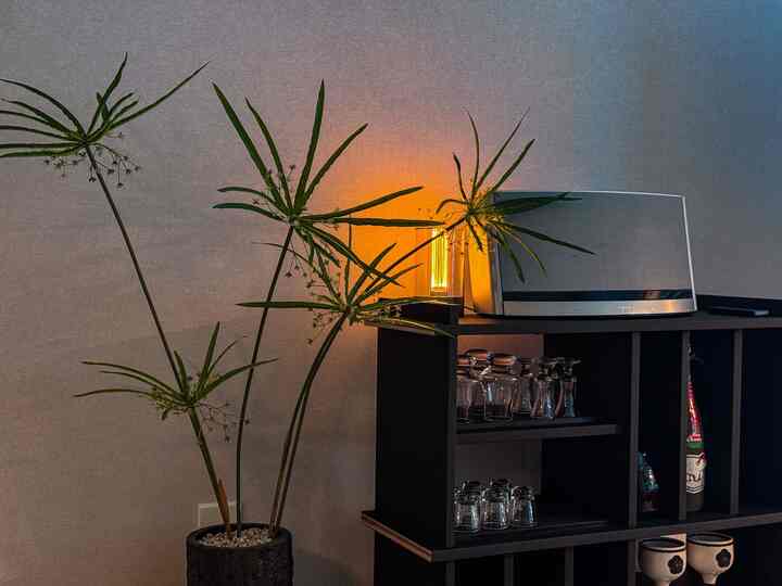 グレーの壁と黒のサイドボードが配置され、大きな緑の植物と温かみのあるLED照明が印象的な雰囲気のあるインテリア