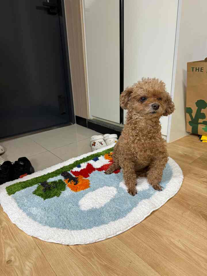 木目調の床と玄関のタイル、かわいい犬が座っているカラフルなバスマットがある印象的な玄関スペース