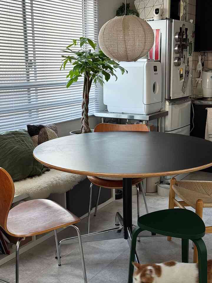 ナチュラルな木目調の一人暮らしダイニング、丸いダイニングテーブルとペットの猫がいる落ち着いた空間