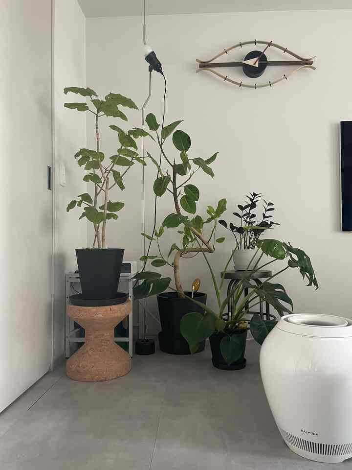 keluarga saya
#flos #parentesi #vitra #コルクファミリー #アイクロック