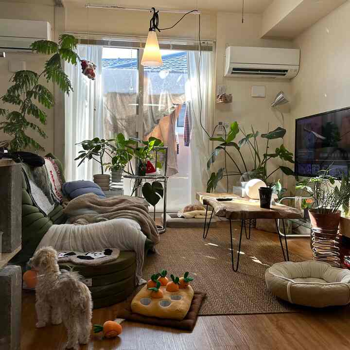 白とナチュラルカラーのリビング、緑のソファと植物が配置された雰囲気のある空間