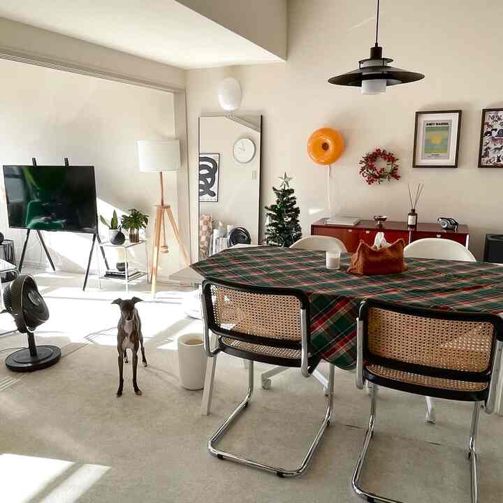 Bright white and brown toned living and dining area featuring a Christmas-themed tablecloth, small Christmas tree, and a dog, creating a cozy atmosphere