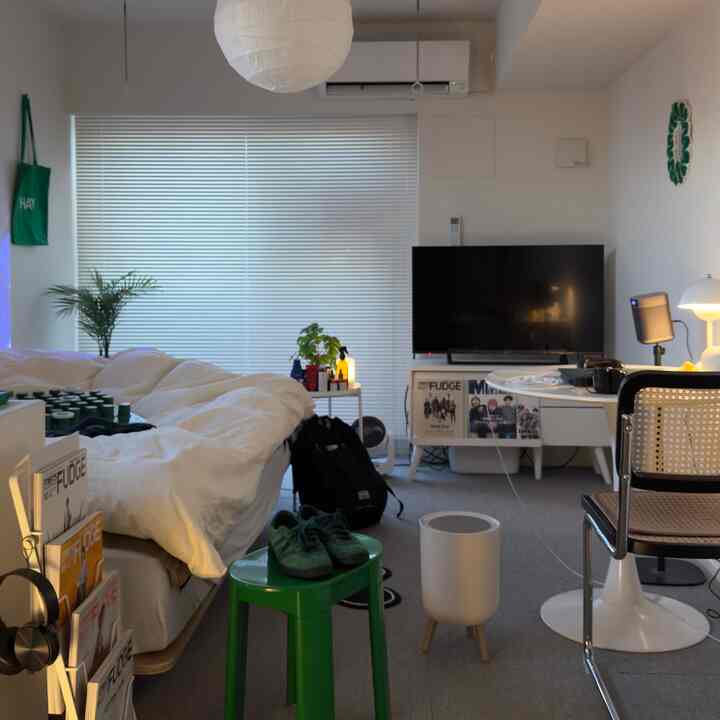 白と緑の色調が印象的なリビング、一人用ソファベッドとテレビ台が配置されたナチュラルモダンなインテリア