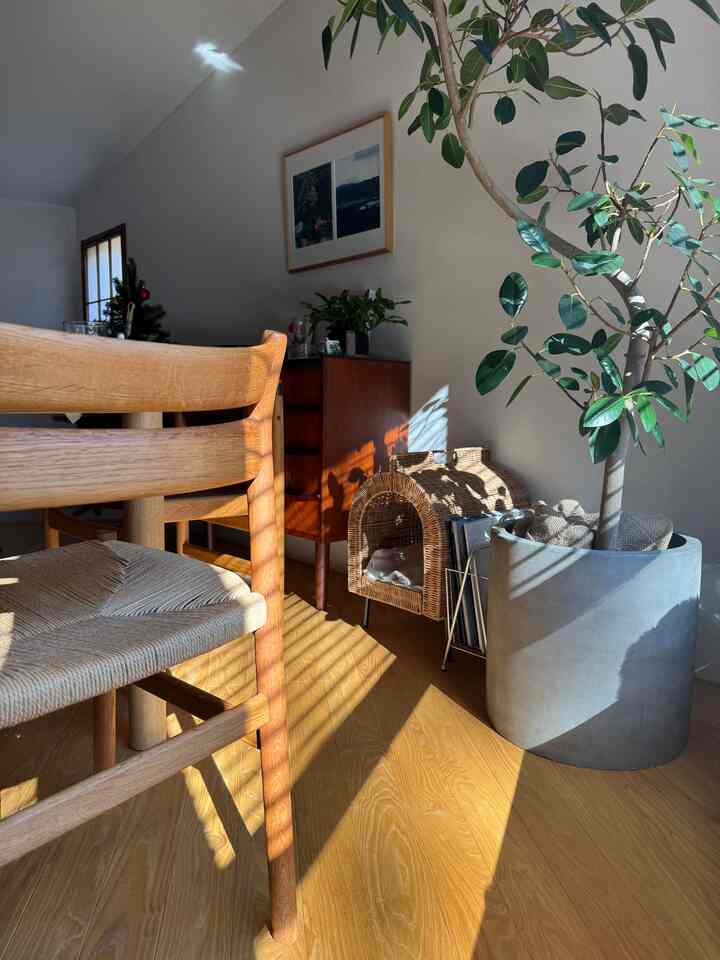 自然光が降り注ぐ木目調家具と植物が配置された、ヴィンテージ感あふれる居心地の良いリビング