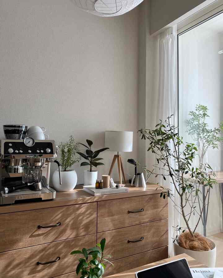 冬のやわらかい光がリビングのチェストに植物の影をつくる、この時間帯が大好きです。
自然が生み出す光と影は最高のインテリアですね

#ナチュラルインテリア #北欧インテリア #観葉植物 #depound #デロンギ #エスプレッソマシン 