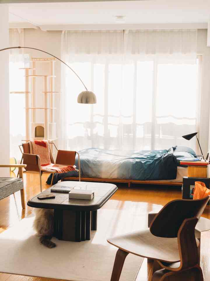 Bright beige and wood-toned bedroom-living room featuring a bed, cat tower, and armchairs in a cozy setting