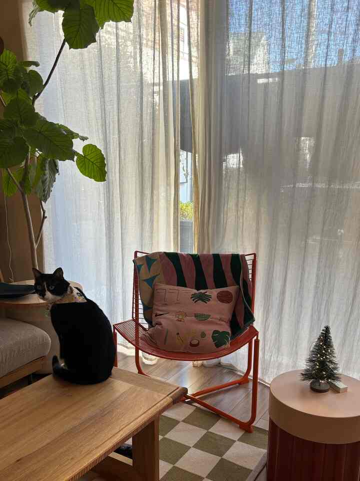 にちようびの昼下がり #猫がいる暮らし #猫インテリア #クリスマス小物 #カラフルなインテリア #IKEA #IKEAチェア #間接照明 