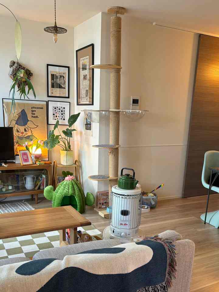 Cozy living room with wood-tone flooring, natural lighting, cactus-shaped cat bed, and a cat tower