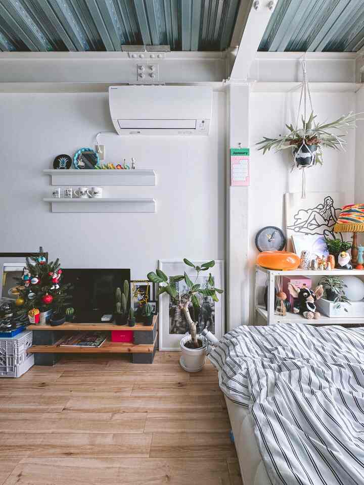 Natural tone studio apartment bedroom with white walls, wood-tone floor, bed, TV stand, and various plants arranged in a compact space