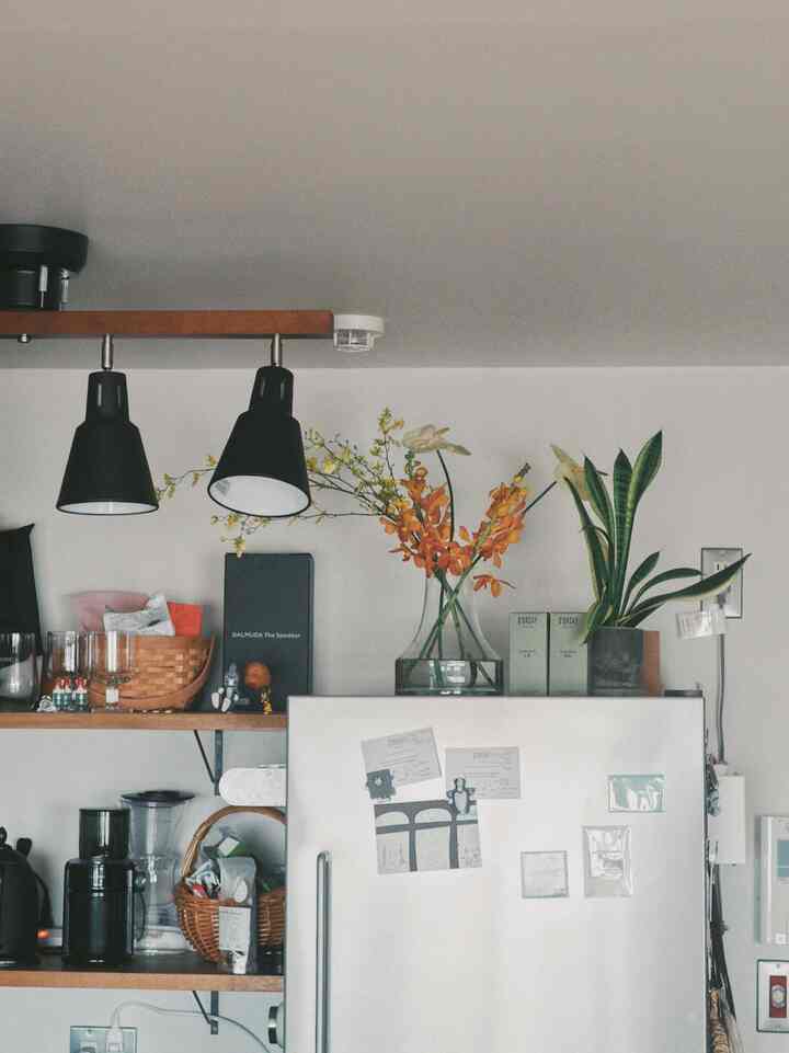 白を基調としたキッチン空間、冷蔵庫と多彩な花瓶や植物が配置された雰囲気のあるインテリア