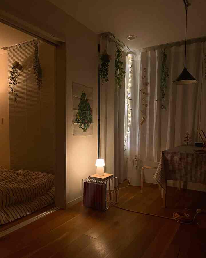 クリスマスのタペストリーとLEDガーランドを購入しました🎄

#クリスマス #クリスマス小物 #クリスマス用ライト 