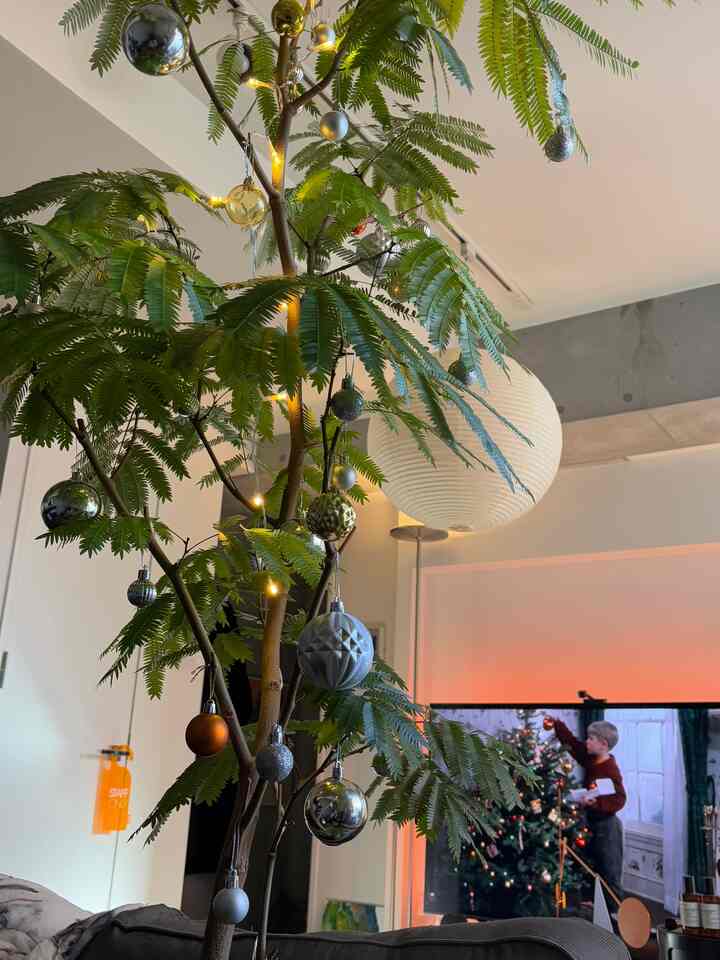 クリスマス楽しみだなーーー
我が家はエバフレッシュをクリスマスツリー仕様にしました🎄
#クリスマス #クリスマス飾り #クリスマス装飾 #クリスマスツリー #インテリア #リビングインテリア 