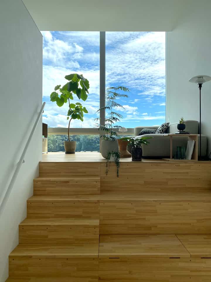 天気が良い日はリビングの写真を撮りたくなる
観葉植物ももっと増やしていきたい

#interior
#vitra
#fritzhansen