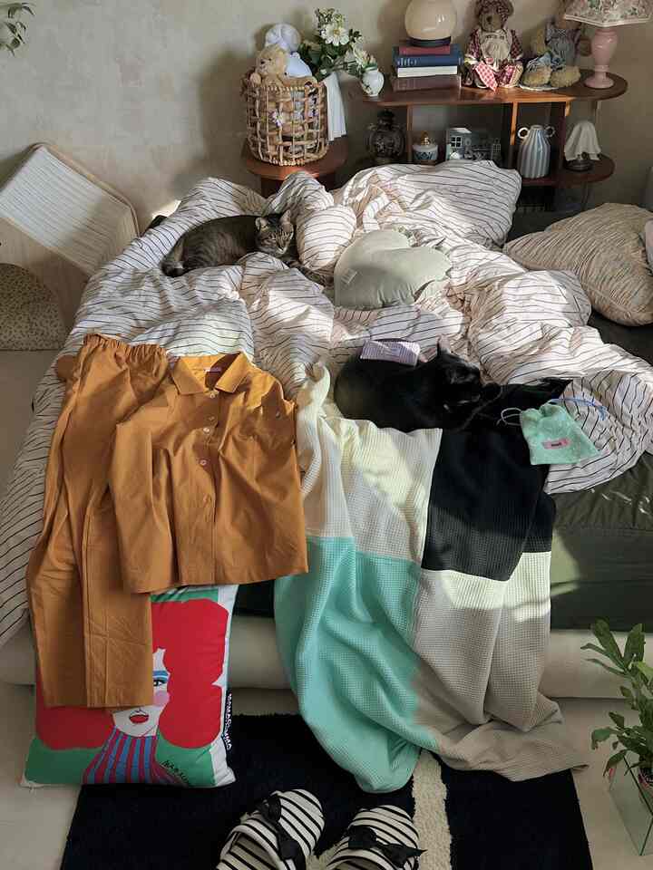 Natural tone beige-walled bedroom with wooden shelves and striped bedspread, featuring two cats resting amidst cushions creating cozy atmosphere