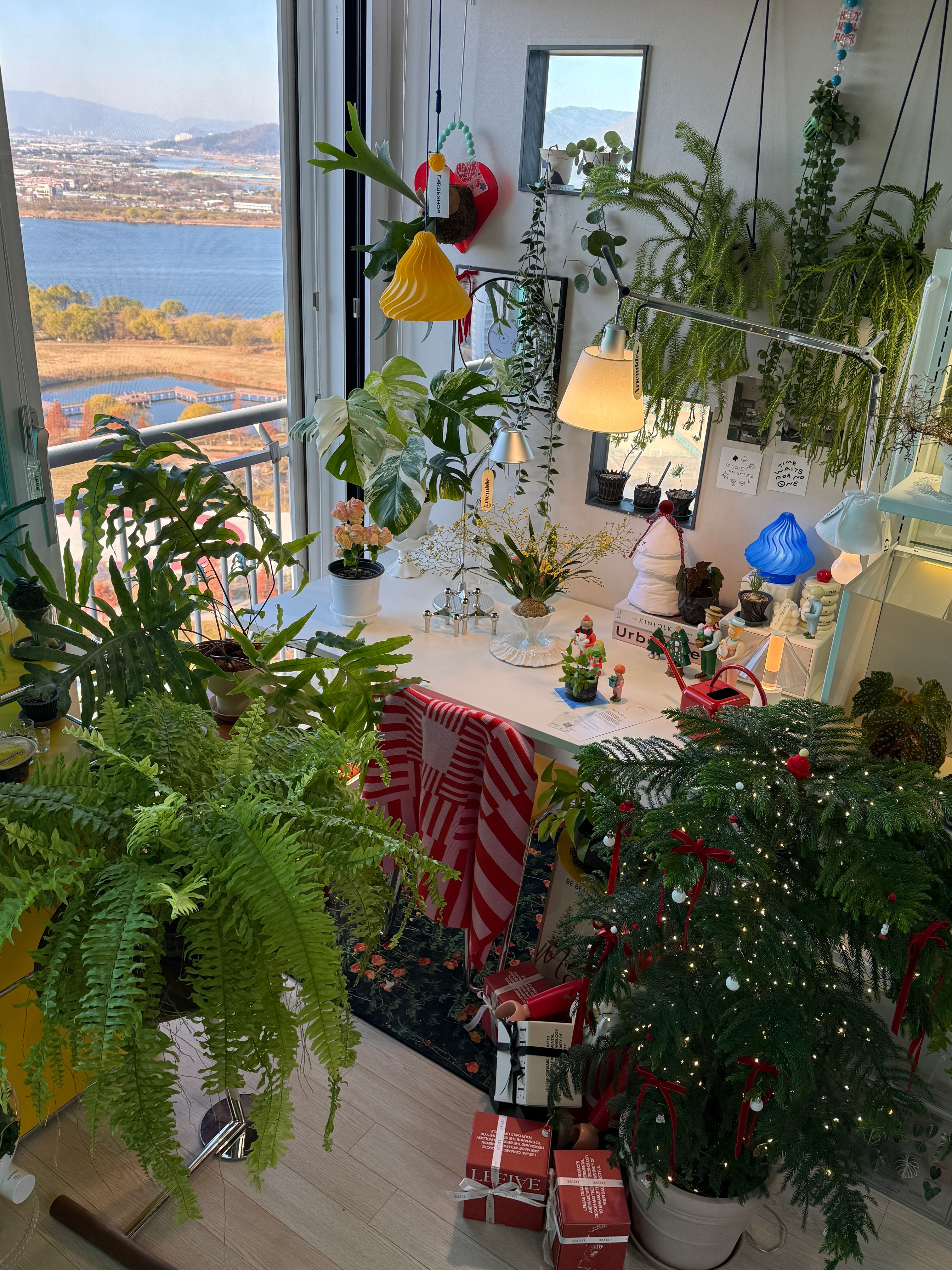 Soft Christmas Tree Accent user photo