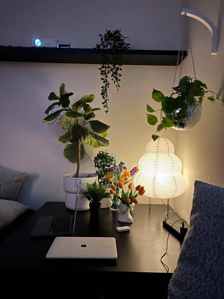 Transforming my planterior into a cozy retreat with the perfect moody lamp! 🌿✨ #PlantLover #MoodLighting #ModernDecor #TableLamp #IndoorPlants