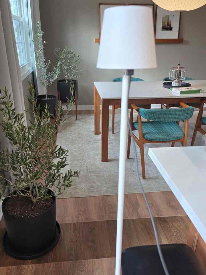 Embracing the elegance of simplicity with my white floor lamp in a bright white interior. Pure serenity! 🤍💡 #WhiteOnWhite #HomeDecor #MidCenturyModern #DiningTable #PendantLight