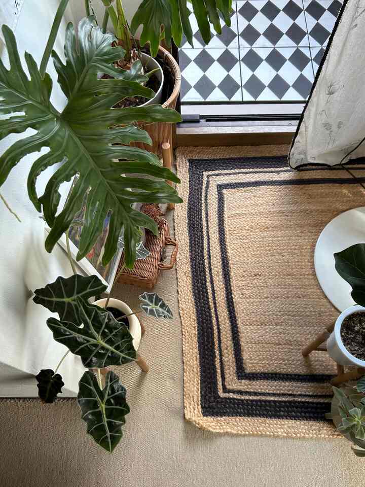 Natural modern space near balcony with beige and navy striped rug and various leafy green plants arranged warmly