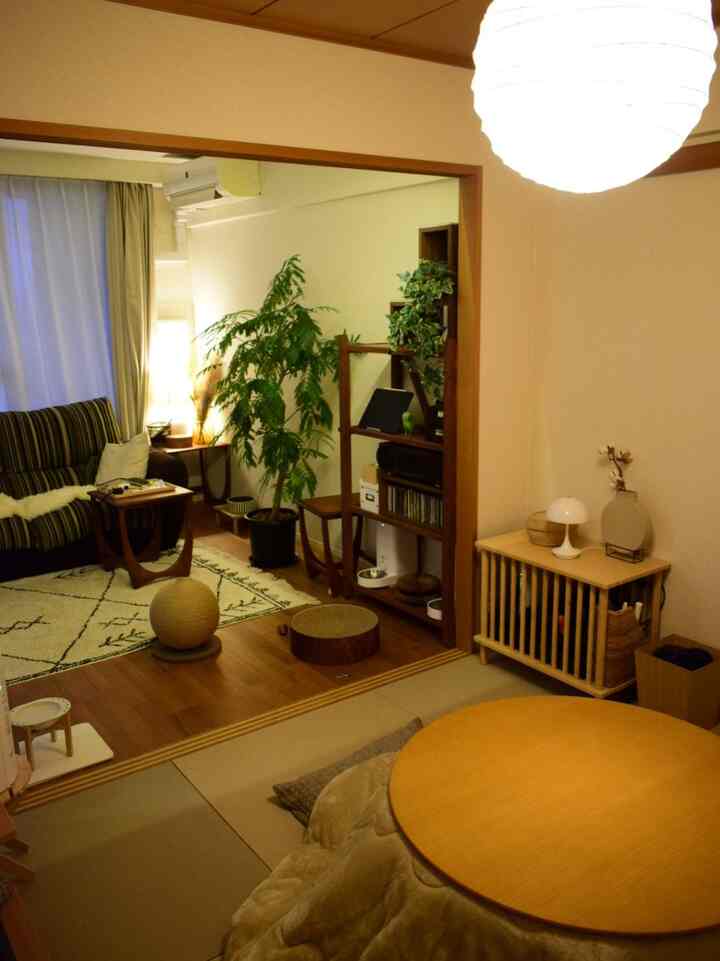 #こたつ #加湿器