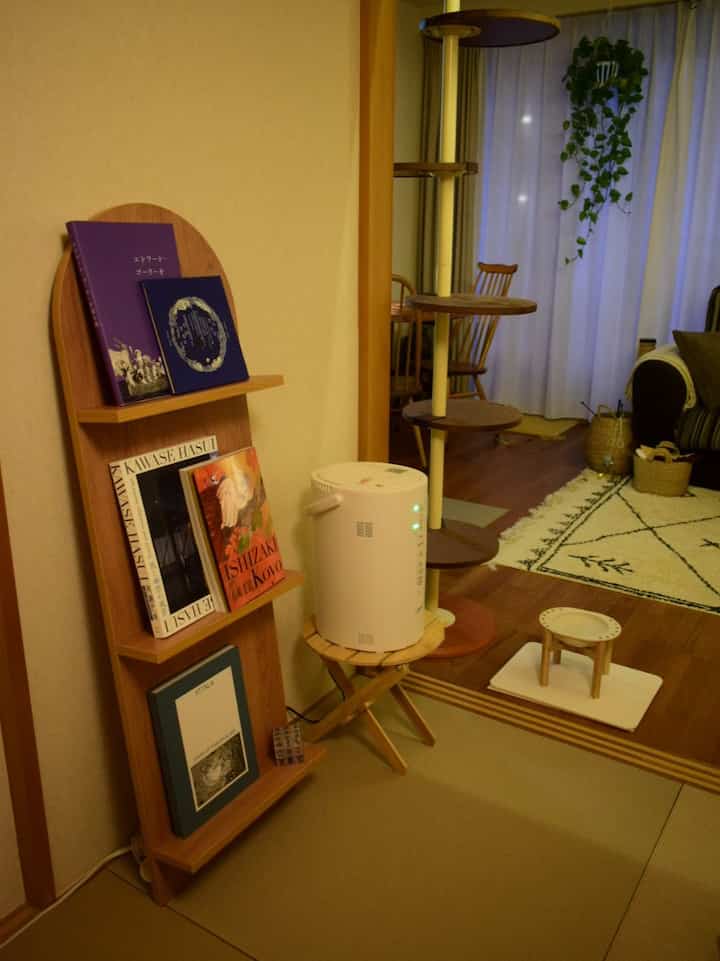 Cozy small living room with warm brown wood tones, featuring a cat tower and plant stand creating a natural atmosphere
