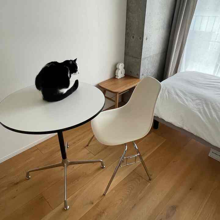 コンパクトな丸テーブルはどんなお部屋にも収まりがよくて転勤多めなわたしの強い味方です
もう一脚チェア置きたいけどなにを合わせるか迷い中☁️


#丸テーブル #韓国インテリア #一人暮らし #ダイニングインテリア #シンプル #無印良品 #無彩色 #無機質