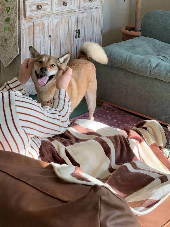 Natural tone living room featuring a bean bag sofa, blanket, and a person joyfully interacting with a dog, creating a cozy atmosphere