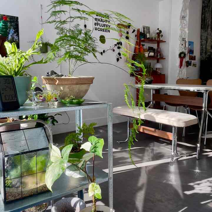 久しぶりに記録を再び残すようになりました。 
その間、新しい空間作業室を準備しながら余裕がなくて手を置いていたのですが、肝臓が私の小さな部屋の頃の写真が好きな方がいらっしゃいました。 
太陽が切れる空間を願っていた私は、いよいよ光がよく入る私だけの作業室を持つようになりました。

これから私の新しい空間も一生懸命記録してみましょう。  #식집사 #작업실인테리어 #오늘의집 #방꾸미기 #집꾸미기 #셀프인테리어 #홈데코 #플랜테리어 #감성인테리어 #식물키우기 #식물인테리어 #식물스타그램 #식집사 #테라리움 #선반인테리어 #terrarium #indoorgarden 