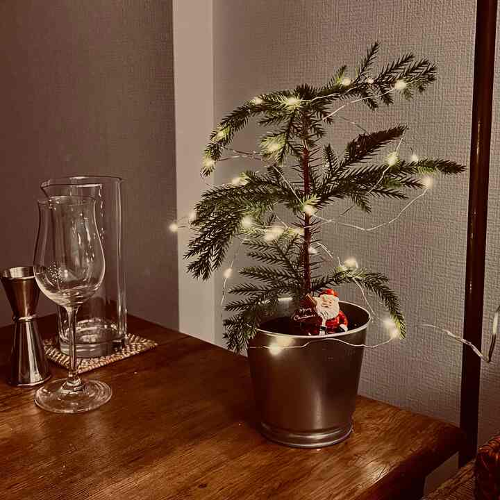 #クリスマス
#A glowing tree is a Christmas tree
#There's Santa too