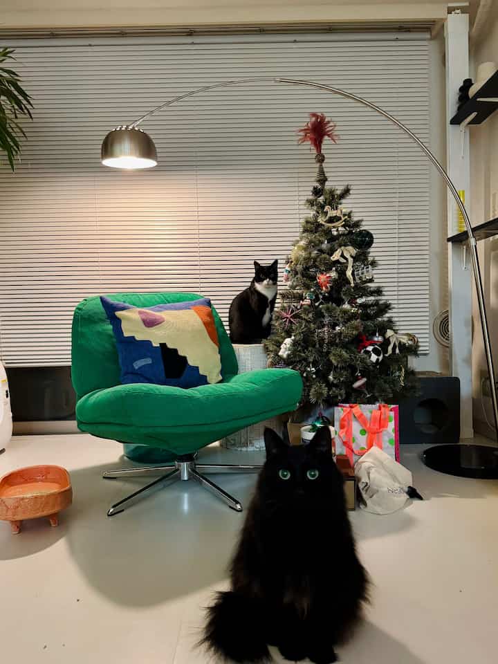 白い床とブラインドを背景にしたリビング、グリーンのアームチェアとクリスマスツリー、2匹の猫がいる雰囲気のある空間