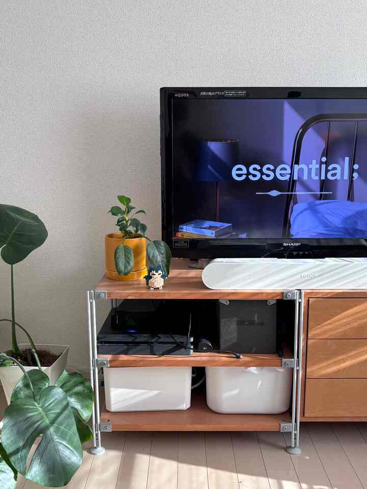 ナチュラルな色調の1K一人暮らしリビング、木製テレビ台と白い収納、植物が配置された温かみのある空間