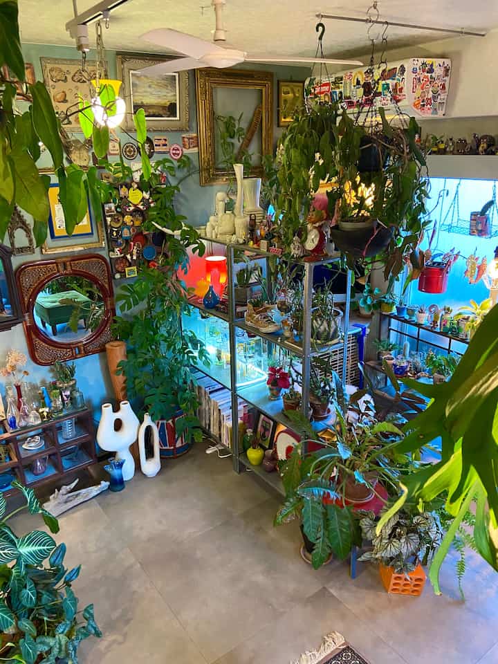 棚に沿わせるグリーンで境界を更に曖昧にしたり、スツールやオブジェを使って抑揚をつけたり。
ごちゃごちゃなりに考えて、全体でも細部でもまとまりが生まれるように工夫していたりします◎
#ミッドセンチュリー #昭和レトロ #ヴィンテージ
#観葉植物 #グリーンインテリア #多国籍インテリア
#リビングインテリア #ヒュッリス