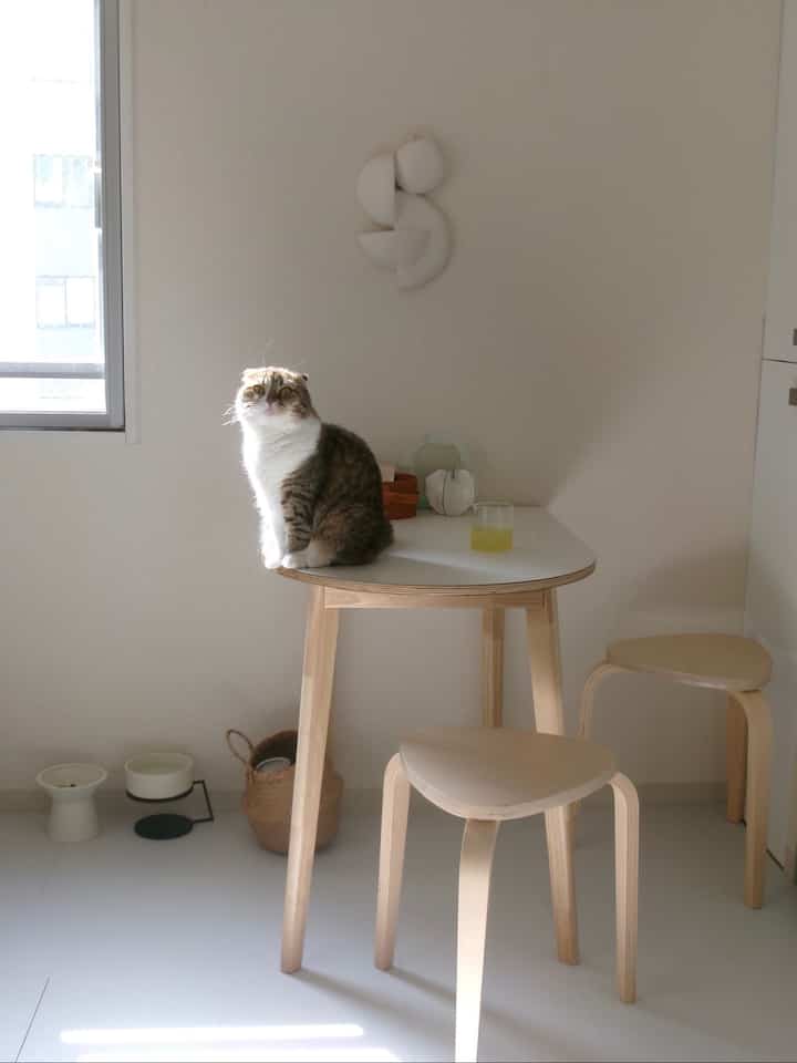 #北欧インテリア雑貨 #北欧インテリアのある暮らし #ディインテリア #賃貸で暮らすとゆう選択 #賃貸生活 #賃貸マンション暮らし #猫と暮らす部屋 #猫と暮らす部屋づくり #マキシマリストの部屋 #マキシマリストの部屋づくり #マキシマリストの工夫 #ikea家具 #ドーナツライト #モロッコ雑貨 #モロッコインテリア #ラグ探し中 #ideeインテリア #無印インテリア #VARMBLIXT #ヴァルムブリクスト #賃貸DIY { 21 #Wallpaper DIY} #フロアタイルDIY #暮らしの道具 #zakka #暮らしを楽しむ #シンプルライフ #ジャパンディインテリアライフ #上質な暮らし