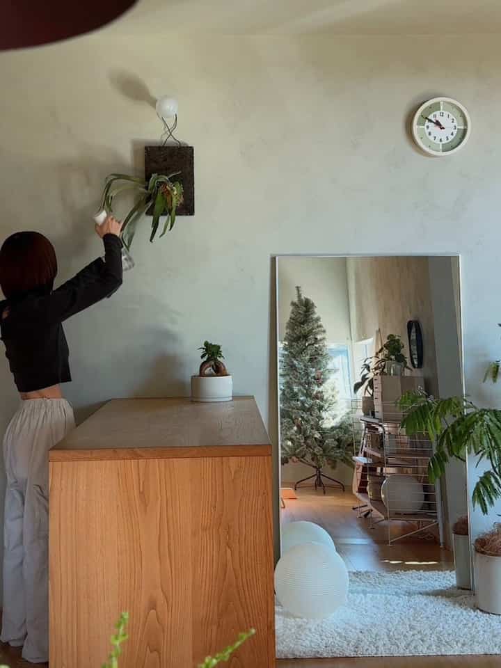 Natural wood-toned kitchen space featuring plants, large full-length mirror, and wall clock with simple interior design